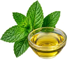 Meki parafin (Petrolatum) u sastavu {{OFFER_NAME}}