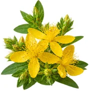Meki parafin (Petrolatum) u sastavu {{OFFER_NAME}}
