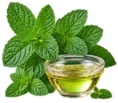 Neven (Calendula Officinalis) u sastavu {{OFFER_NAME}}