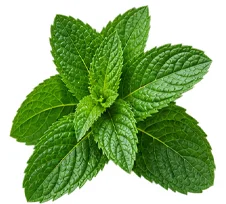 Neven (Calendula Officinalis) u sastavu {{OFFER_NAME}}