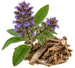 Tokoferol, vitamin E u sastavu {{OFFER_NAME}}