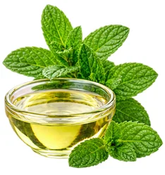 Ulje paprene metvice (Mentha Piperita) u sastavu {{OFFER_NAME}}